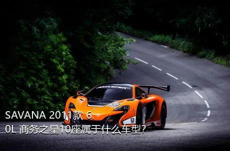 SAVANA 2011款 6.0L 商务之星10座属于什么车型？