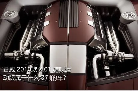 君威 2010款 2.0T 旗舰运动版属于什么级别的车？