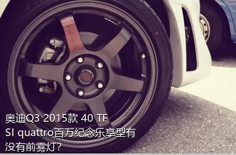 奥迪Q3 2015款 40 TFSI quattro百万纪念乐享型有没有前雾灯？