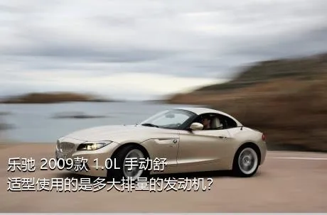 乐驰 2009款 1.0L 手动舒适型使用的是多大排量的发动机？