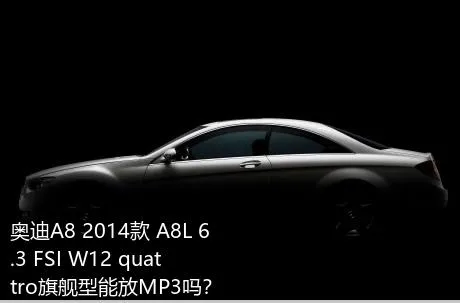 奥迪A8 2014款 A8L 6.3 FSI W12 quattro旗舰型能放MP3吗？