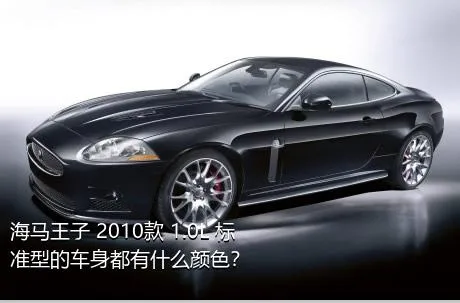 海马王子 2010款 1.0L 标准型的车身都有什么颜色？