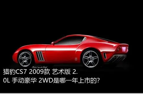 猎豹CS7 2009款 艺术版 2.0L 手动豪华 2WD是哪一年上市的？