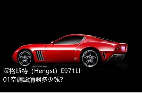 汉格斯特（Hengst）E971LI01空调滤清器多少钱？