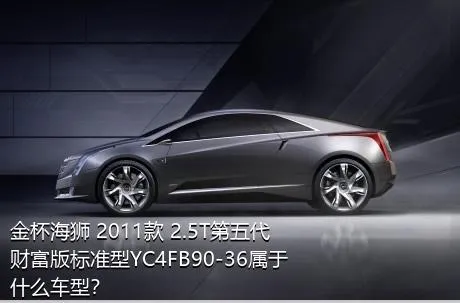 金杯海狮 2011款 2.5T第五代财富版标准型YC4FB90-36属于什么车型？