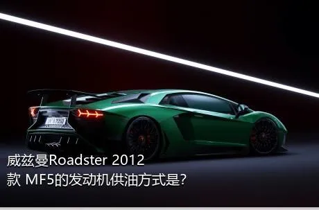 威兹曼Roadster 2012款 MF5的发动机供油方式是？