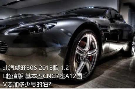 北汽威旺306 2013款 1.2L超值版 基本型CNG7座A12国IV要加多少号的油？