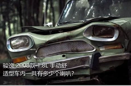 骏逸 2008款 1.8L 手动舒适型车内一共有多少个喇叭？