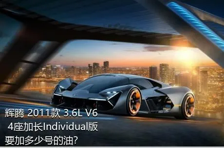 辉腾 2011款 3.6L V6 4座加长Individual版要加多少号的油？