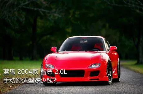 蓝鸟 2004款 智尊 2.0L 手动舒适型多少钱？