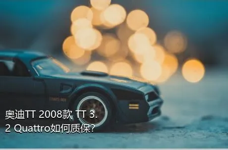 奥迪TT 2008款 TT 3.2 Quattro如何质保？