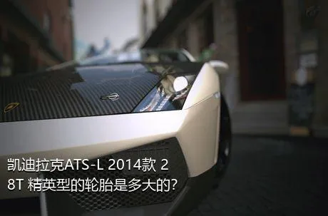 凯迪拉克ATS-L 2014款 28T 精英型的轮胎是多大的？