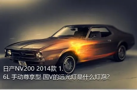 日产NV200 2014款 1.6L 手动尊享型 国V的远光灯是什么灯泡？