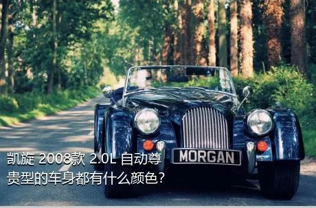 凯旋 2008款 2.0L 自动尊贵型的车身都有什么颜色？