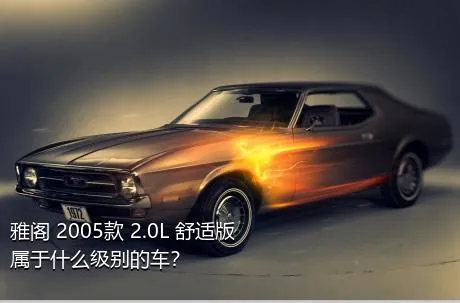 雅阁 2005款 2.0L 舒适版属于什么级别的车？