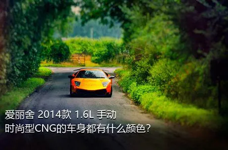 爱丽舍 2014款 1.6L 手动时尚型CNG的车身都有什么颜色？