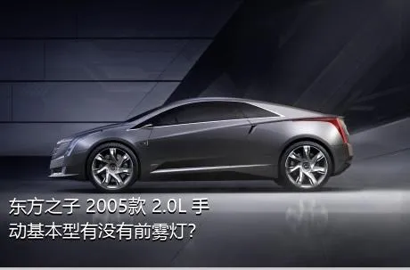 东方之子 2005款 2.0L 手动基本型有没有前雾灯？