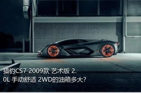 猎豹CS7 2009款 艺术版 2.0L 手动舒适 2WD的油箱多大？