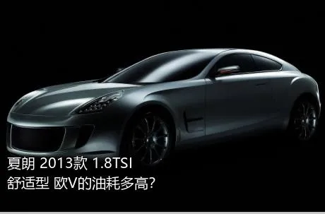 夏朗 2013款 1.8TSI 舒适型 欧V的油耗多高？