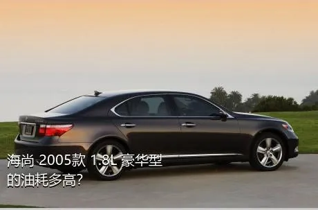 海尚 2005款 1.8L 豪华型的油耗多高？