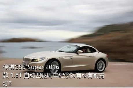 传祺GS5 Super 2016款 1.8T 自动四驱周年纪念版有没有前雾灯？