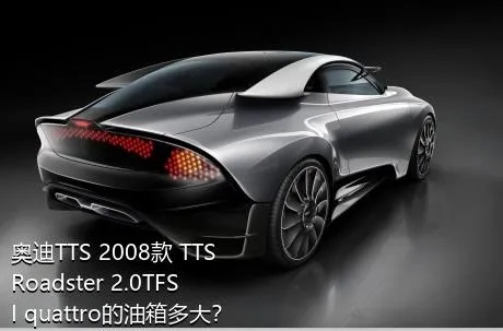 奥迪TTS 2008款 TTS Roadster 2.0TFSI quattro的油箱多大？