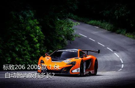 标致206 2005款 1.6L 自动智尚版有多长？