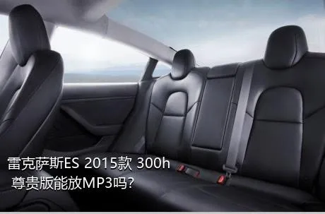 雷克萨斯ES 2015款 300h 尊贵版能放MP3吗？