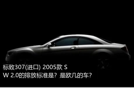 标致307(进口) 2005款 SW 2.0的排放标准是？是欧几的车？