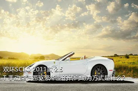 双环SCEO 2011款 2.5T 手动柴油两驱豪华型的转向助力方式是什么？