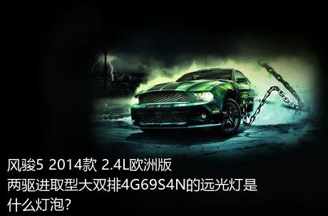 风骏5 2014款 2.4L欧洲版 两驱进取型大双排4G69S4N的远光灯是什么灯泡？