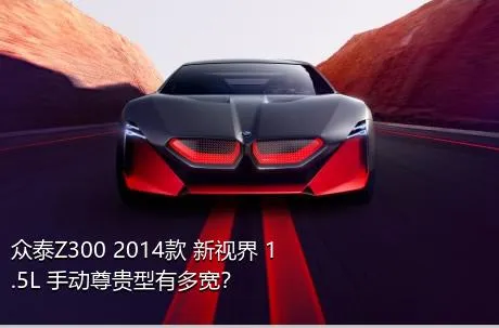 众泰Z300 2014款 新视界 1.5L 手动尊贵型有多宽？