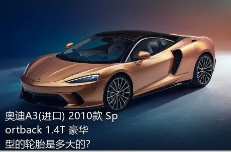 奥迪A3(进口) 2010款 Sportback 1.4T 豪华型的轮胎是多大的？