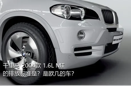 千里马 2004款 1.6L MT的排放标准是？是欧几的车？