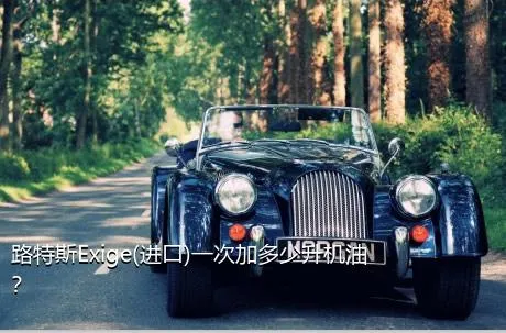 路特斯Exige(进口)一次加多少升机油？