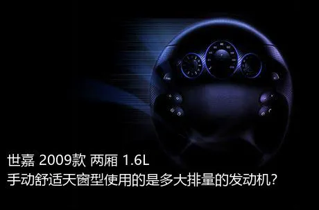 世嘉 2009款 两厢 1.6L 手动舒适天窗型使用的是多大排量的发动机？