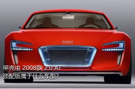 甲壳虫 2008款 2.0 AT 顶配版属于什么车型？