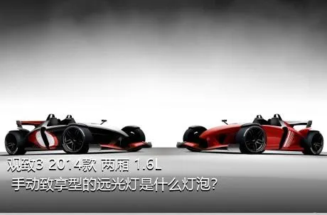 观致3 2014款 两厢 1.6L 手动致享型的远光灯是什么灯泡？