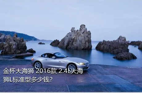 金杯大海狮 2016款 2.4L大海狮L标准型多少钱？