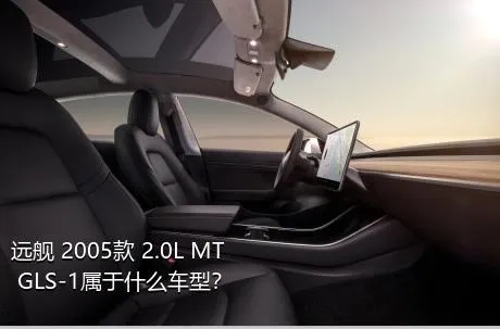 远舰 2005款 2.0L MT GLS-1属于什么车型？