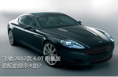 飞驰 2012款 6.0T 限量版的轮胎是多大的？