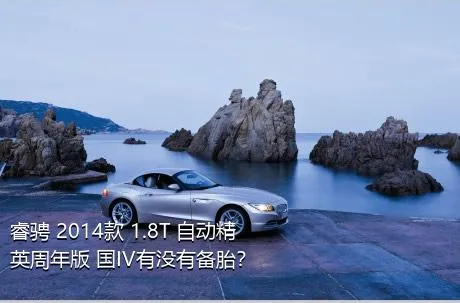 睿骋 2014款 1.8T 自动精英周年版 国IV有没有备胎？