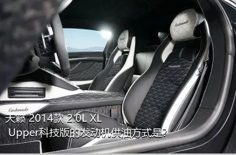 天籁 2014款 2.0L XL Upper科技版的发动机供油方式是？