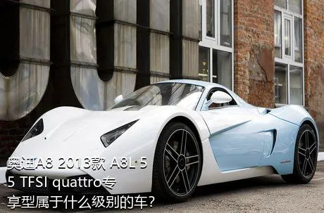 奥迪A8 2013款 A8L 55 TFSI quattro专享型属于什么级别的车？