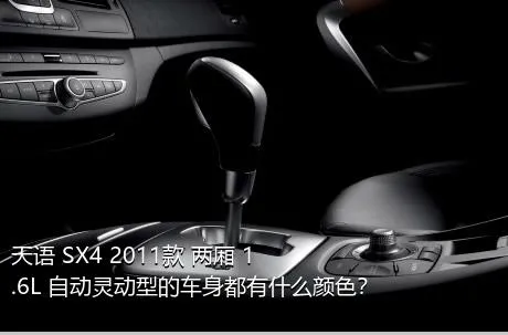 天语 SX4 2011款 两厢 1.6L 自动灵动型的车身都有什么颜色？