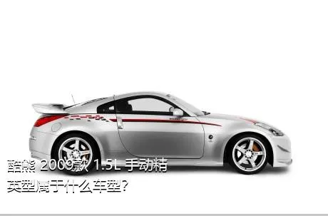 酷熊 2009款 1.5L 手动精英型属于什么车型？