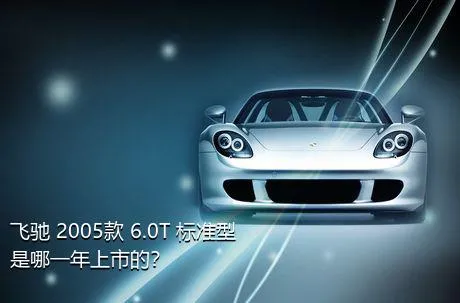 飞驰 2005款 6.0T 标准型是哪一年上市的？