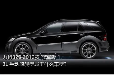 力帆320 2012款 冠军版 1.3L 手动旗舰型属于什么车型？