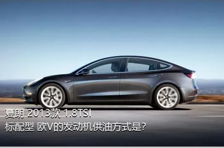 夏朗 2013款 1.8TSI 标配型 欧V的发动机供油方式是？