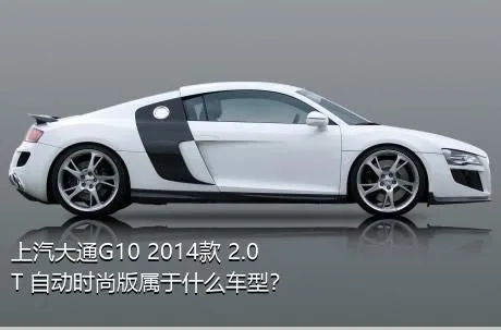 上汽大通G10 2014款 2.0T 自动时尚版属于什么车型？